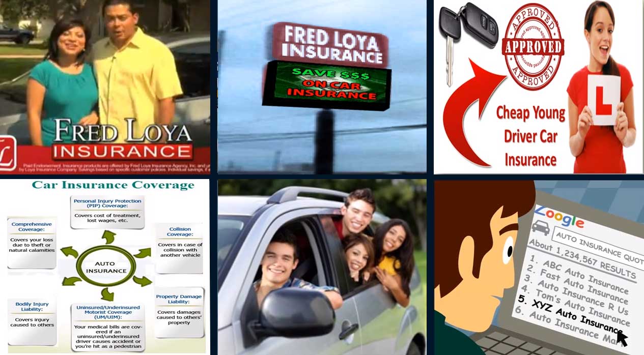 Loya Insurance Quotes