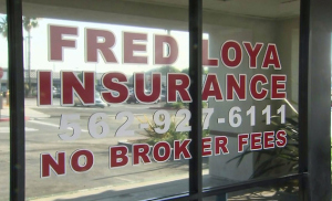 loya insurance company
